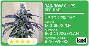 Discovering the Best Options for Marijuana Seeds Maryland Discovering the Best Options for Marijuana Seeds Maryland