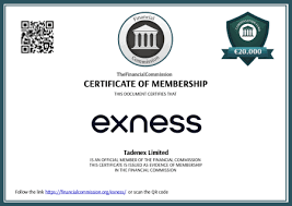 Understanding the Exness ECN Broker Features, Benefits, and Insights